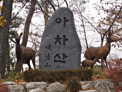 🏯 악연사 (鰐淵寺) 이미지 2